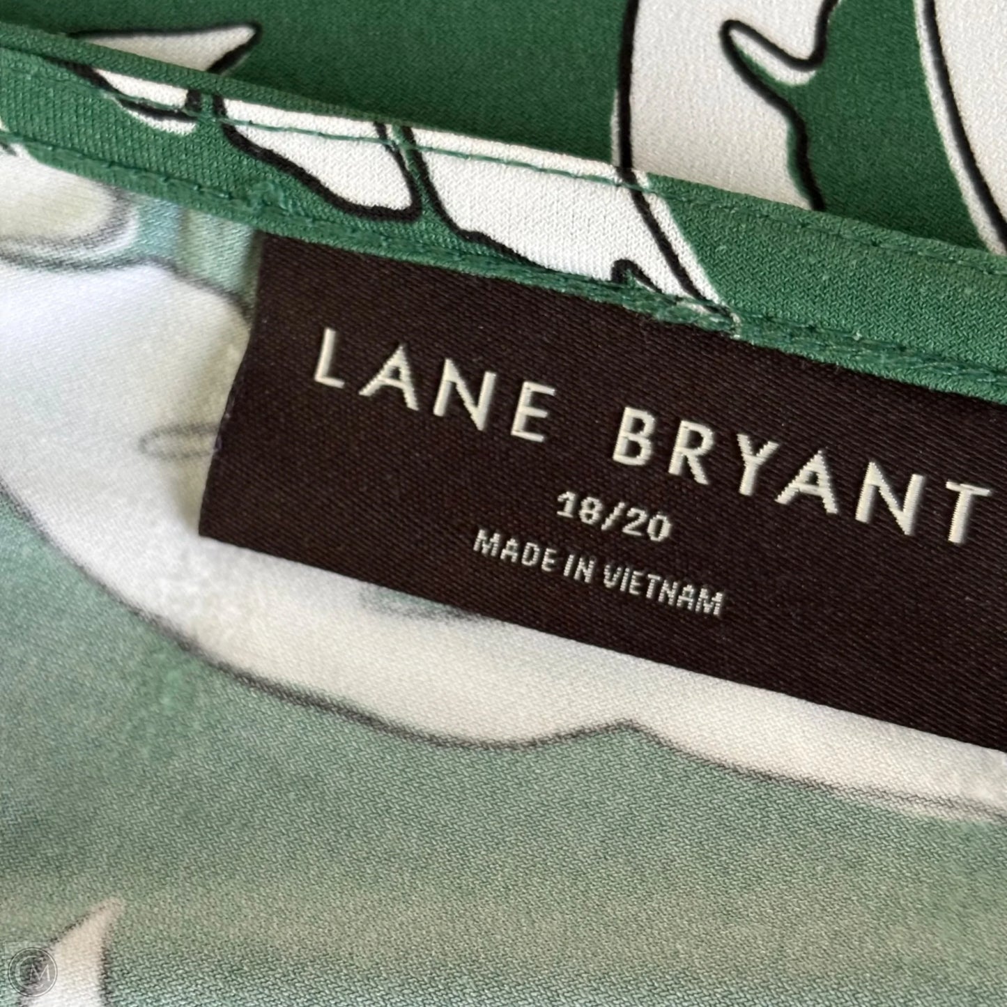 Top Short Sleeve By Lane Bryant In Green & White, Size: 1x