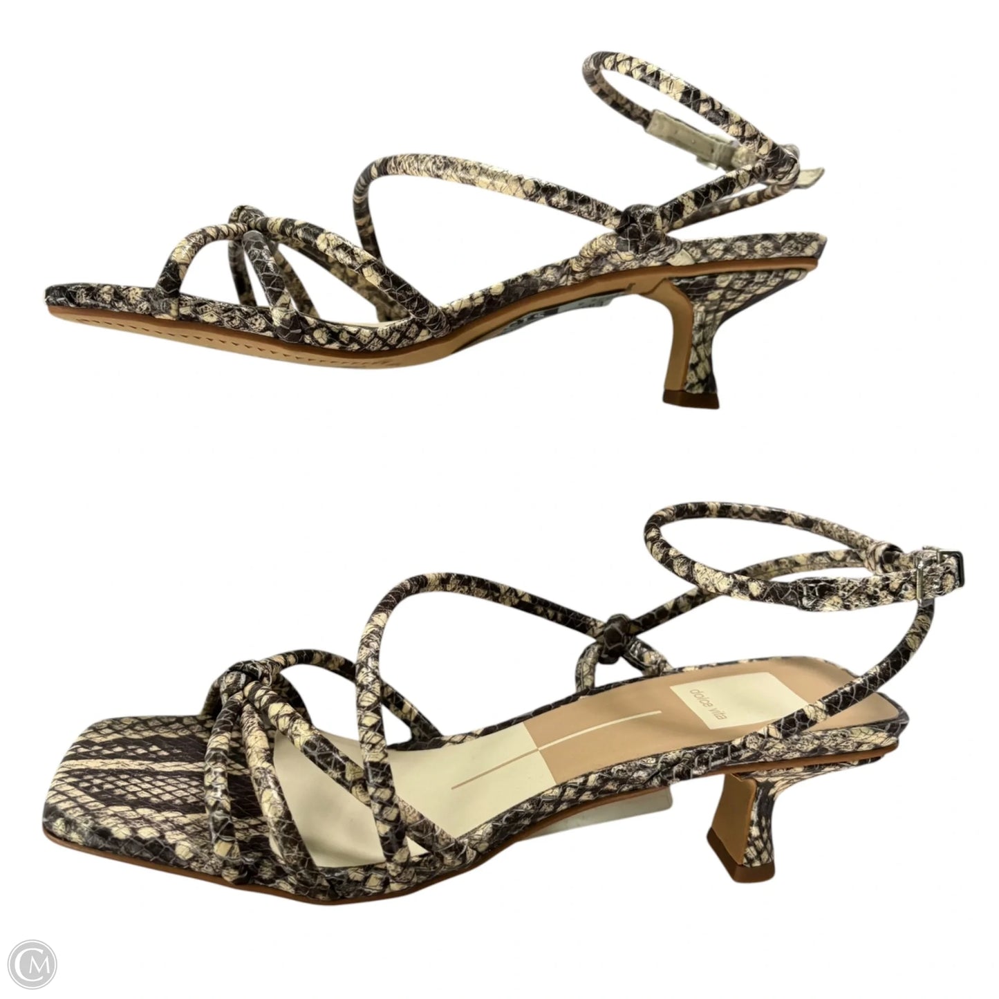 Sandals Heels Kitten By Dolce Vita In Snakeskin Print, Size: 6.5