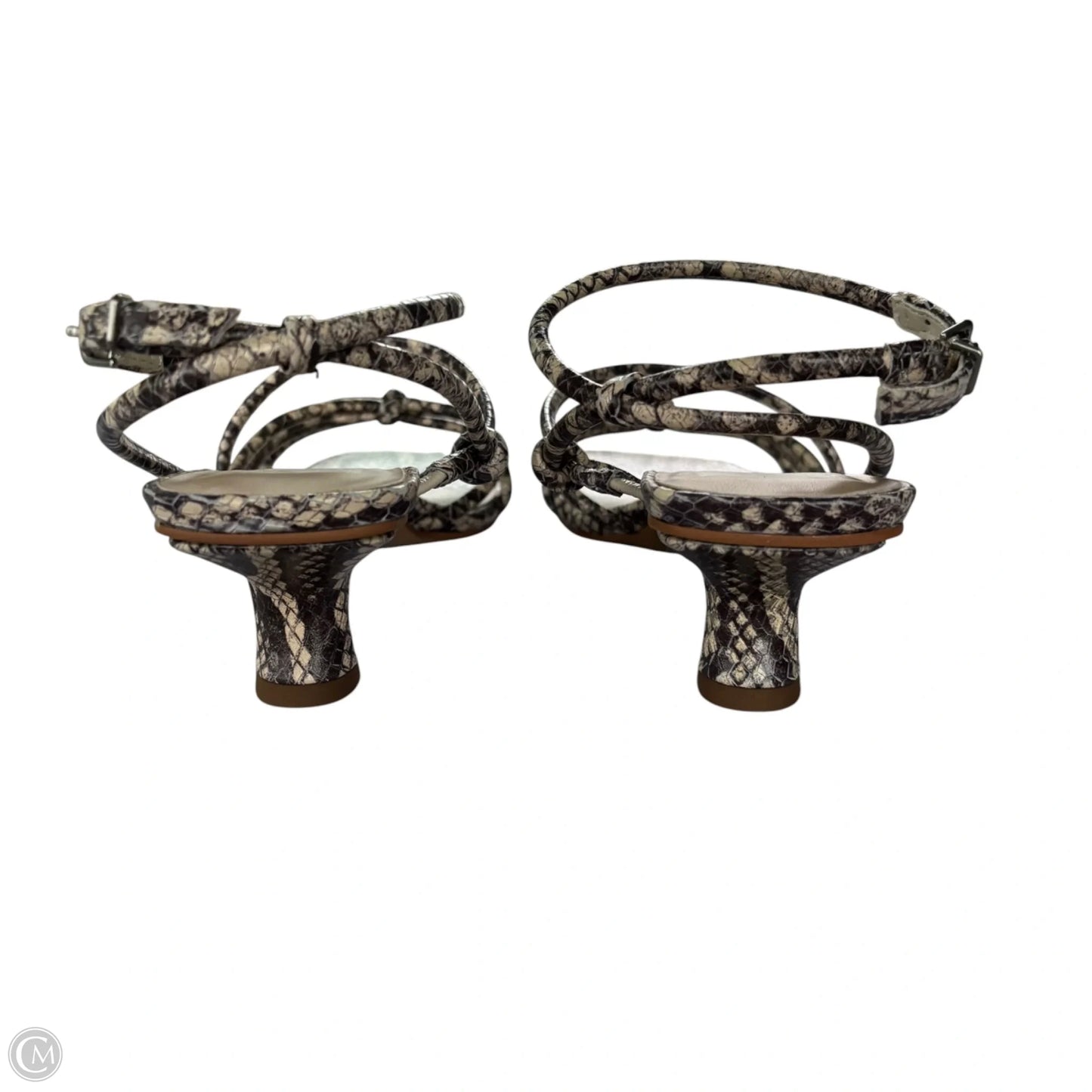 Sandals Heels Kitten By Dolce Vita In Snakeskin Print, Size: 6.5