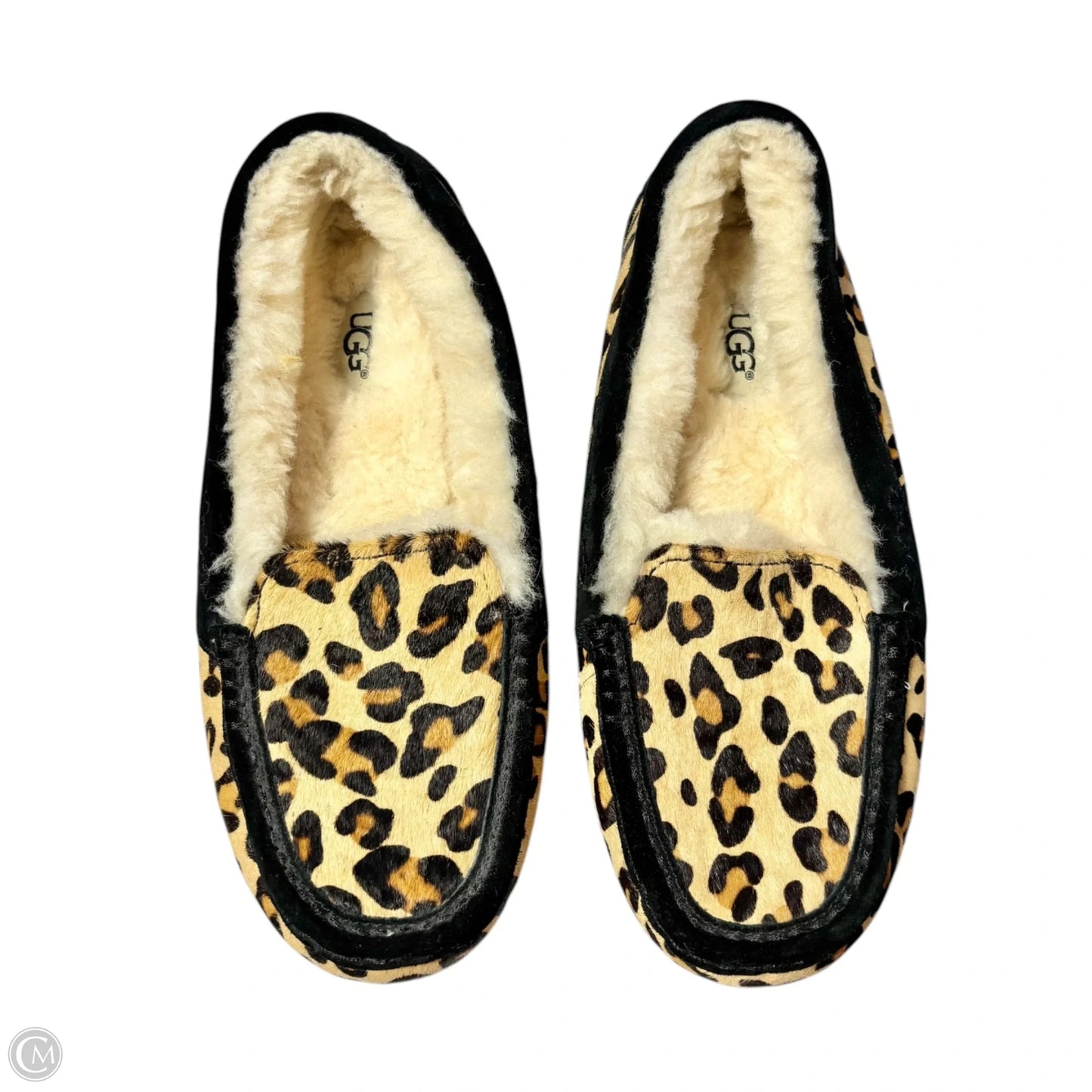 Slippers Designer By Ugg In Animal Print, Size: 8