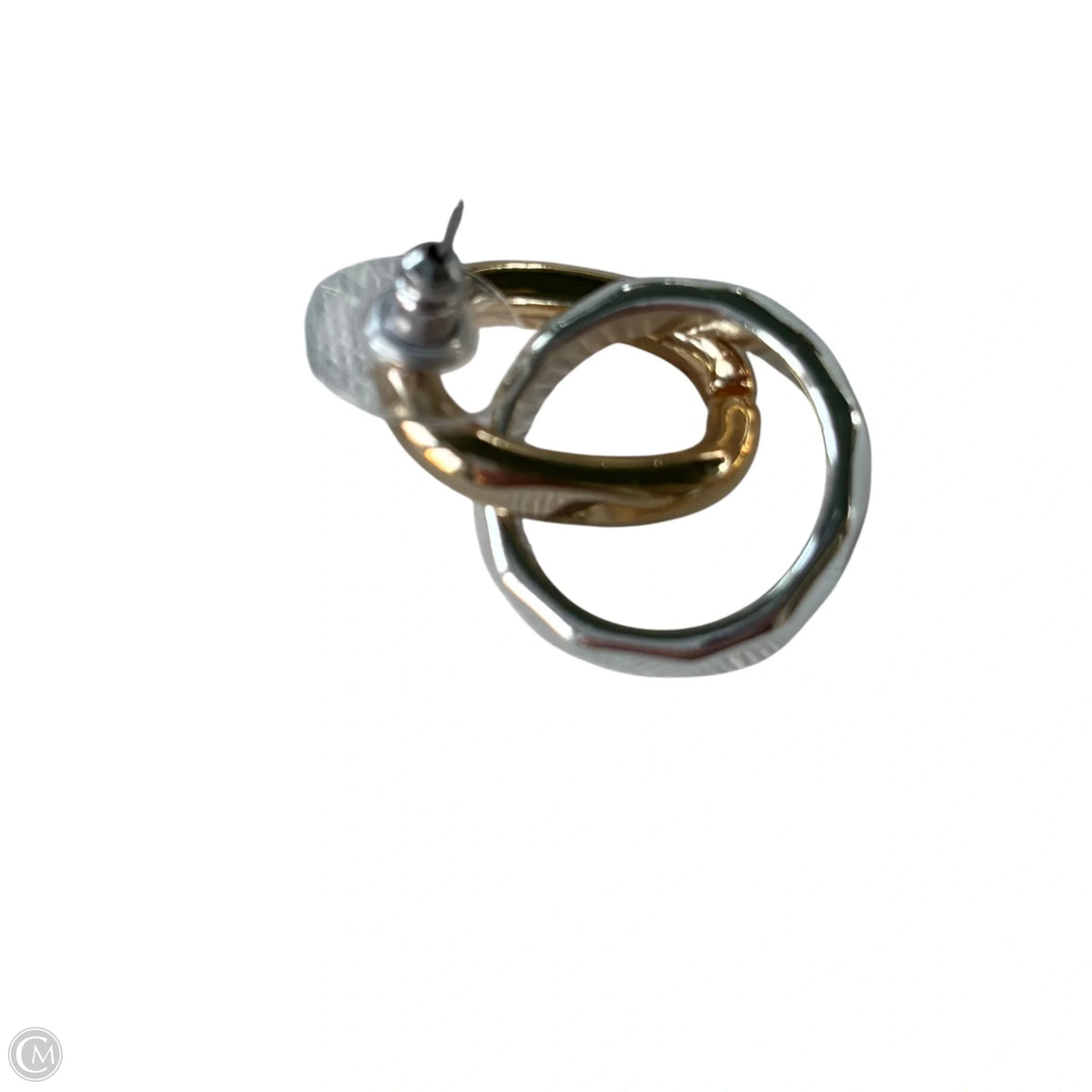 Earrings Hoop