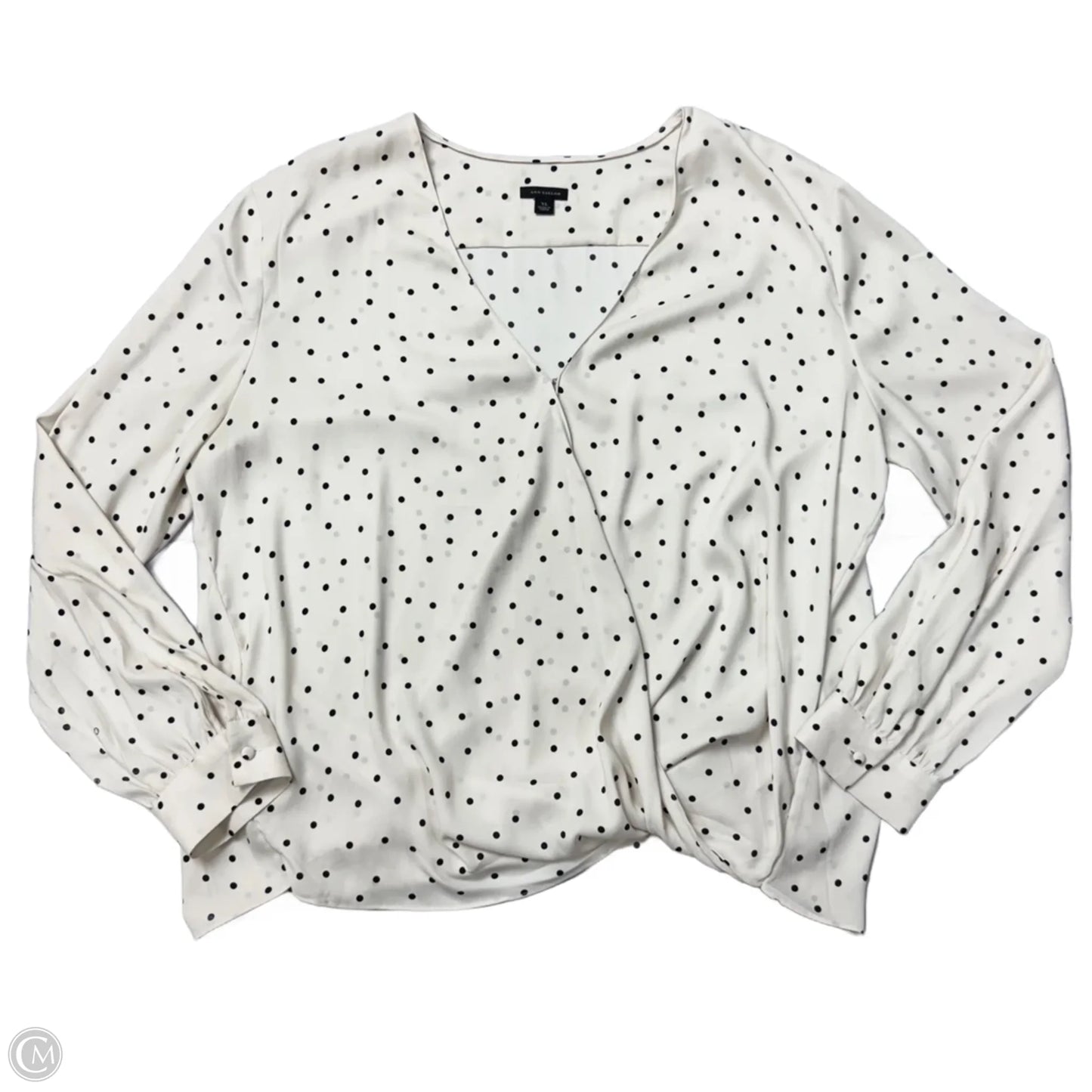Blouse Long Sleeve By Ann Taylor In White, Size: Xl