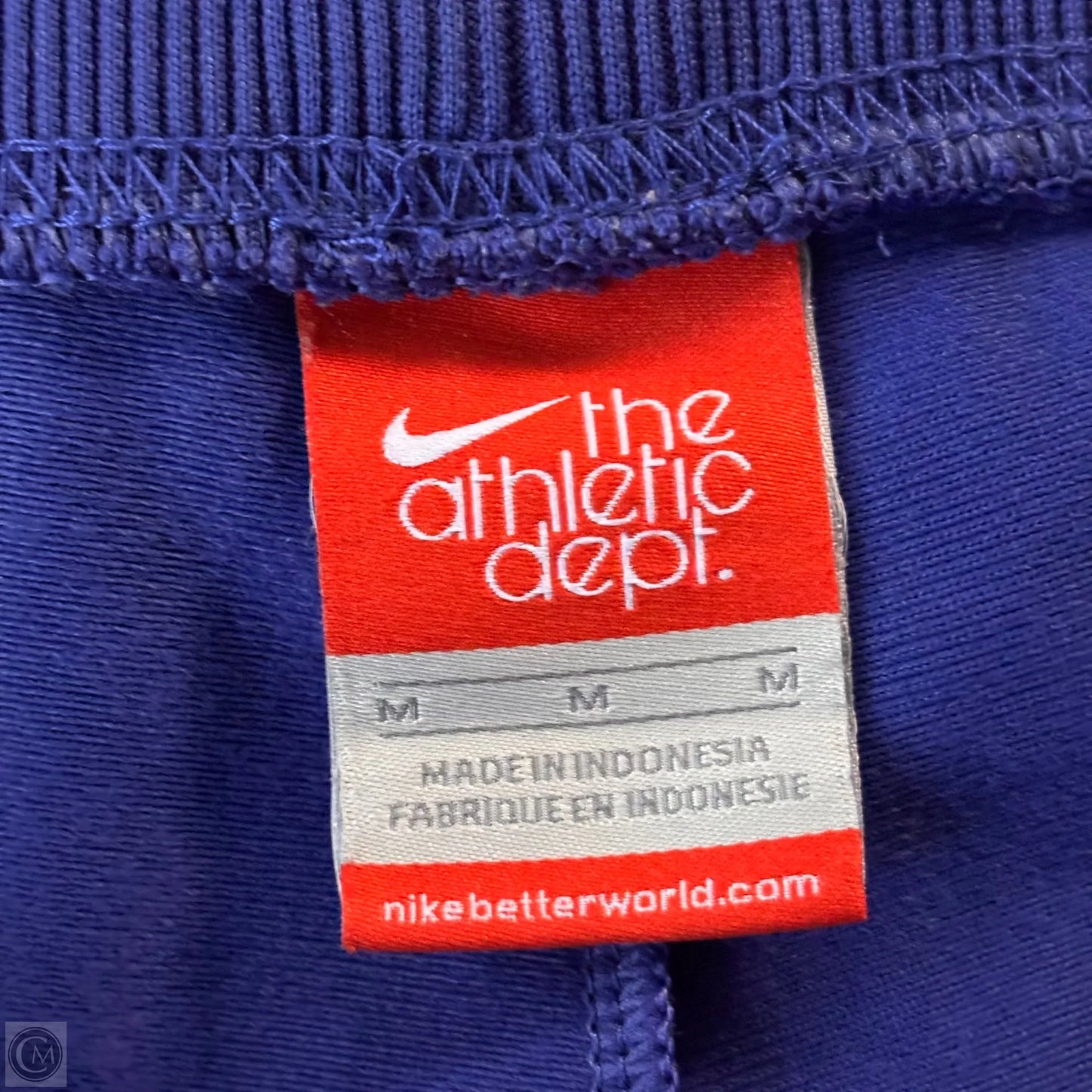 Athletic Pants By Nike Apparel In Blue, Size: M