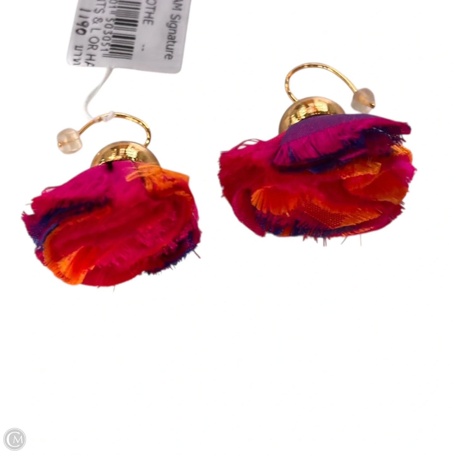 Earrings Statement