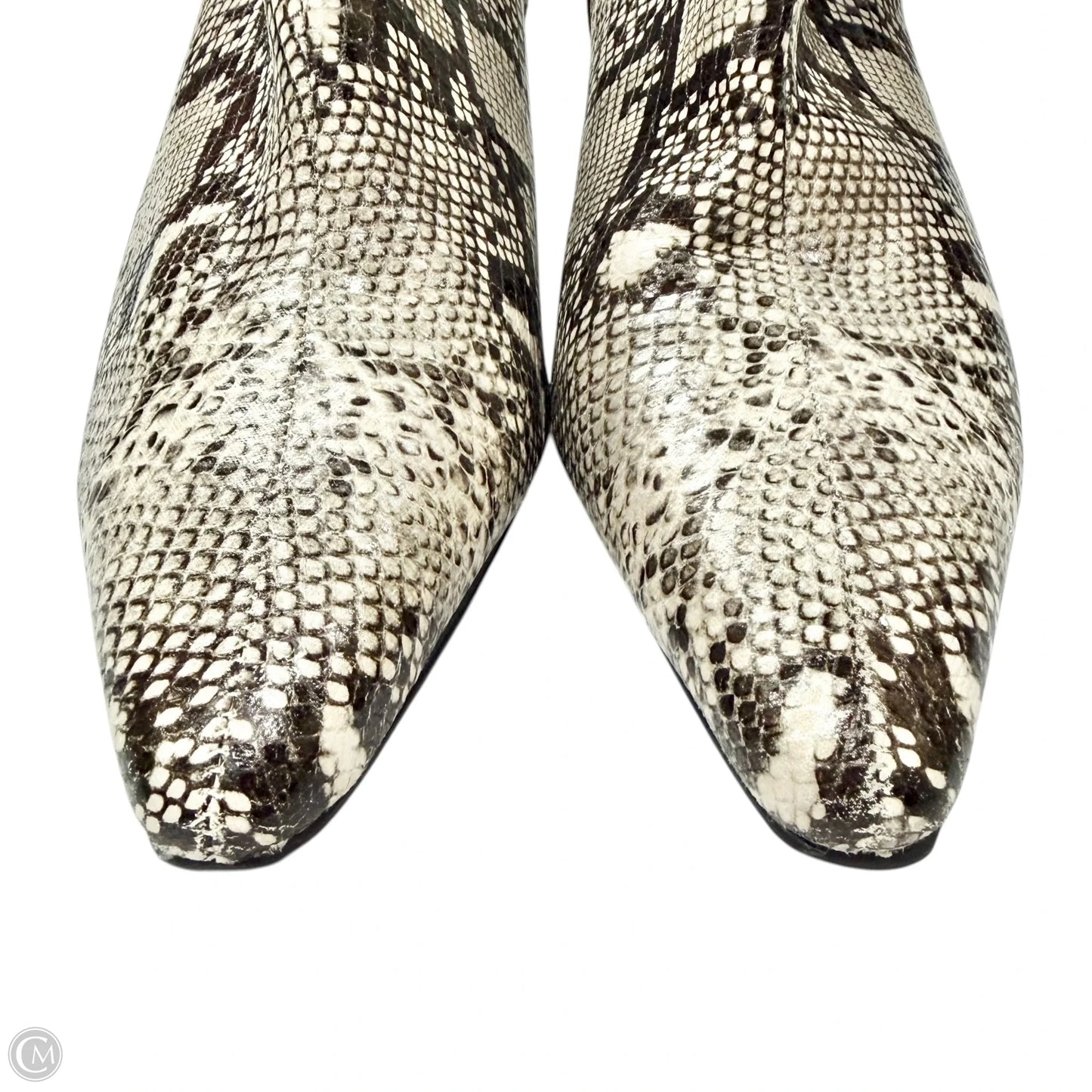 Boots Ankle Heels By Steve Madden In Snakeskin Print, Size: 9