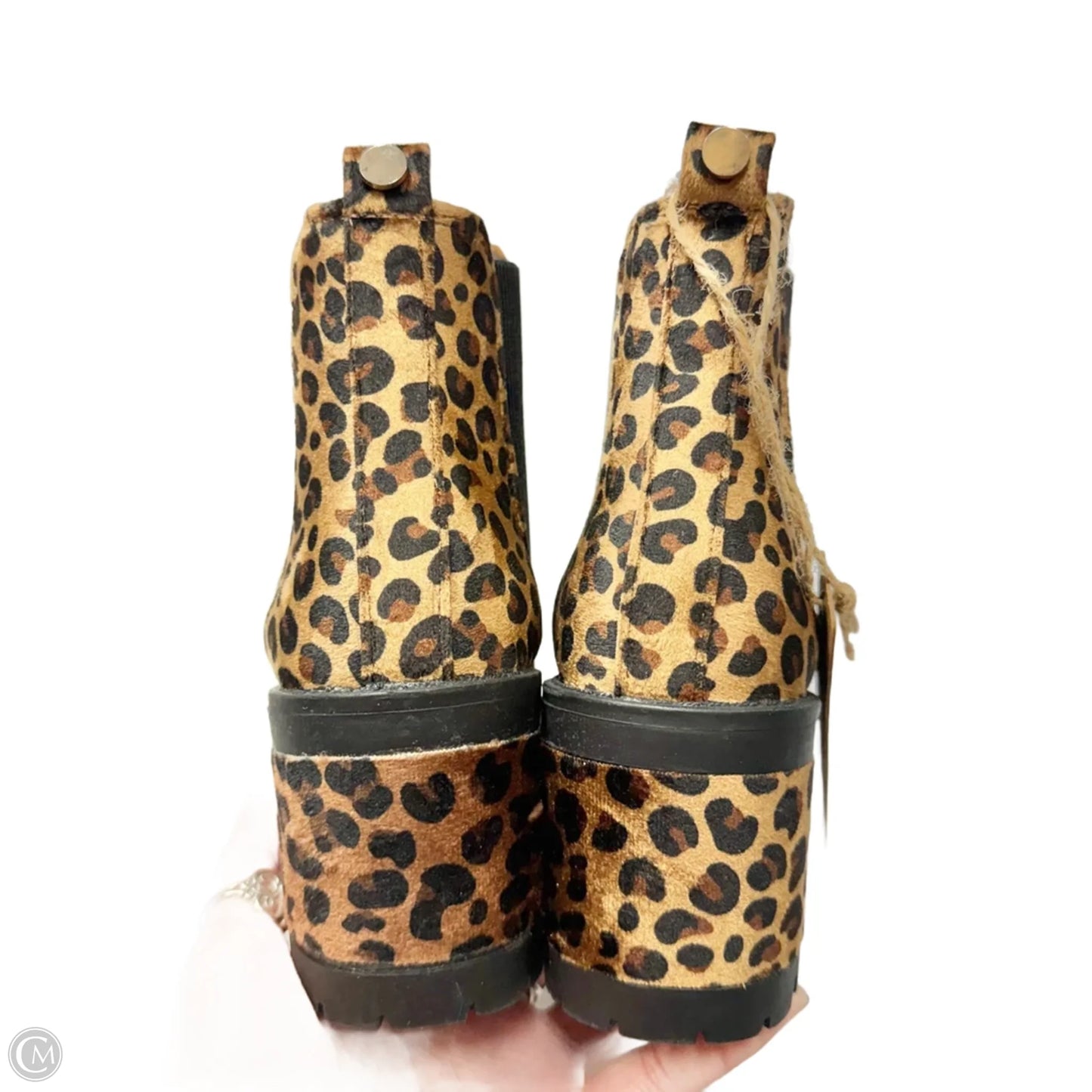 Boots Ankle Heels By Seven 7 In Leopard Print, Size: 6