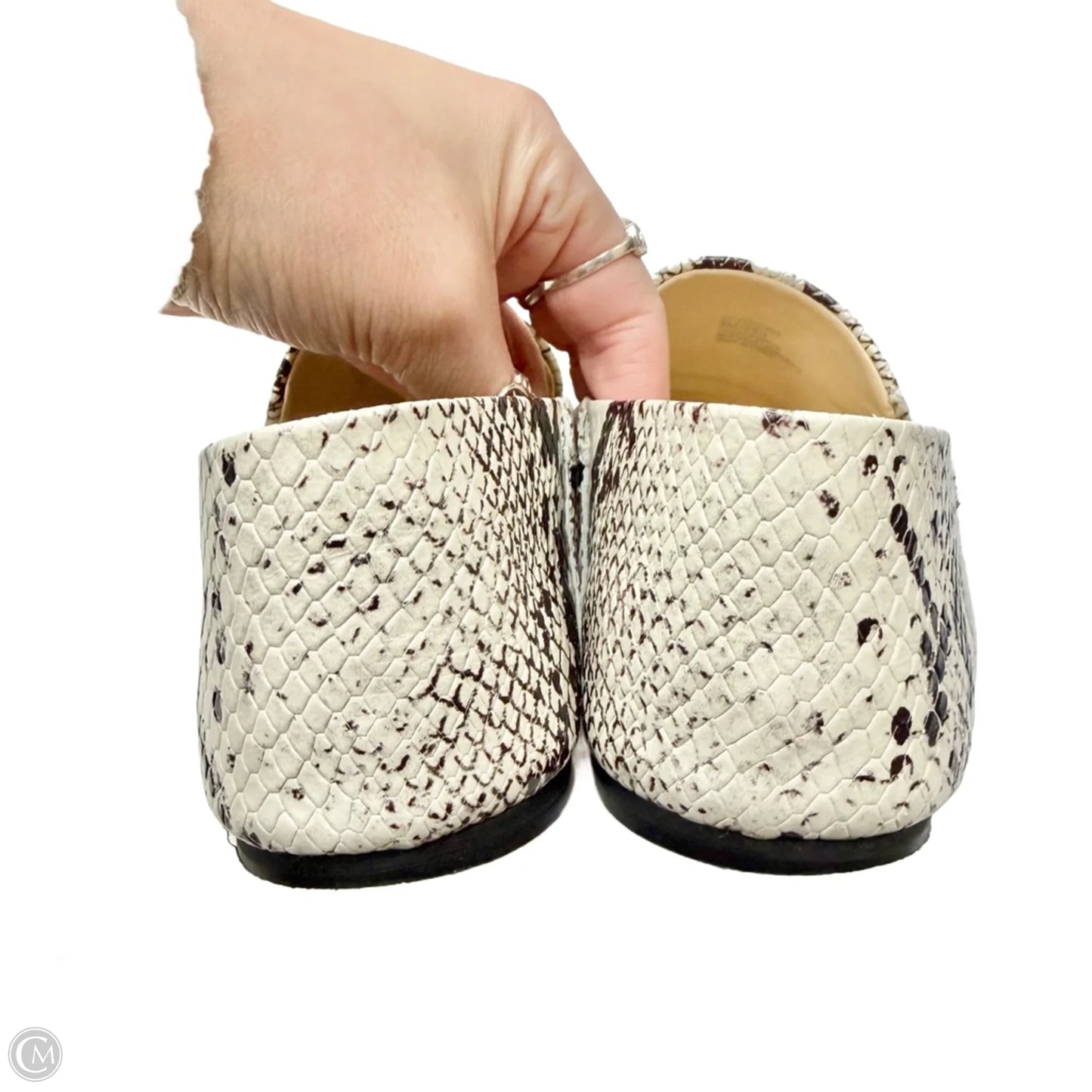 Shoes Flats By Vince Camuto In Snakeskin Print, Size: 8