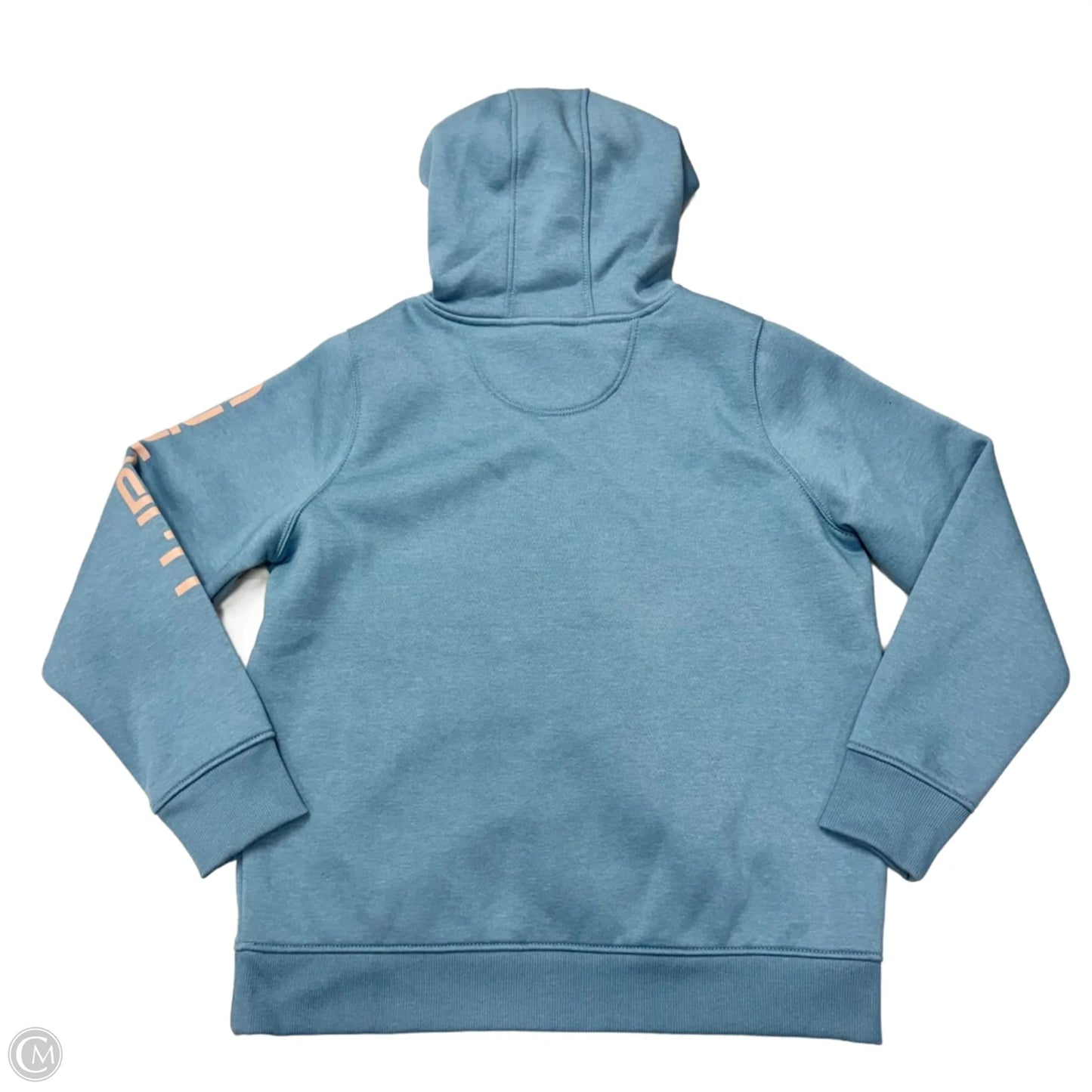 Sweatshirt Hoodie By Carhartt In Blue, Size: L