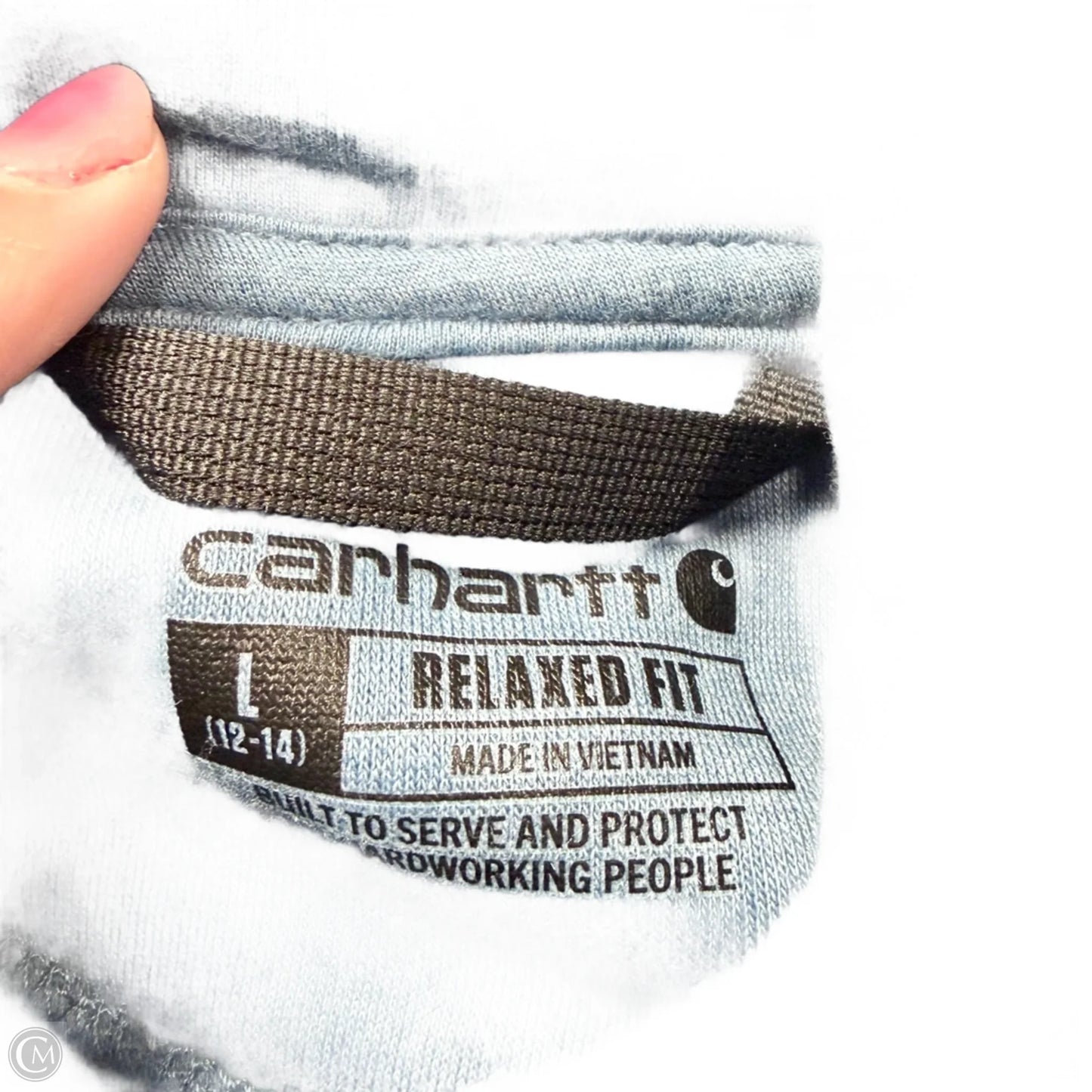 Sweatshirt Hoodie By Carhartt In Blue, Size: L