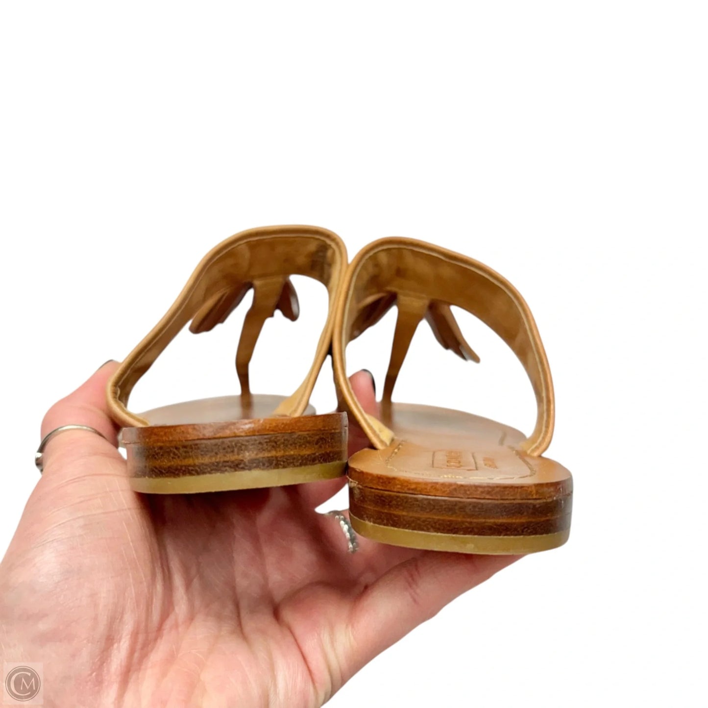 Sandals Designer By Coach In Brown, Size: 6