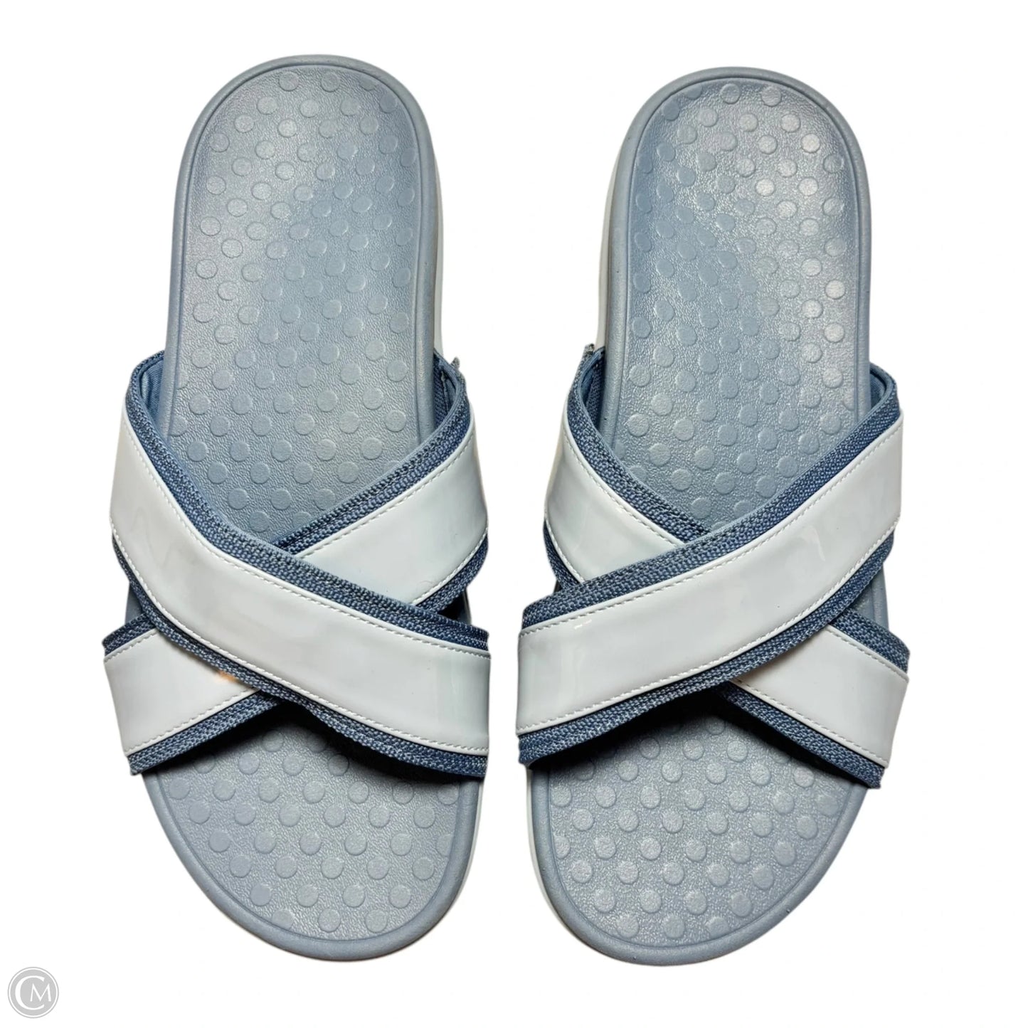 Sandals Flip Flops By Vionic In Blue, Size: 9