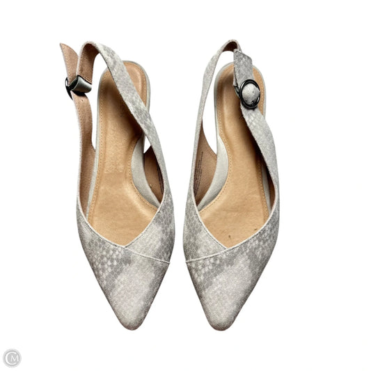 Shoes Flats By Caslon In Snakeskin Print, Size: 6