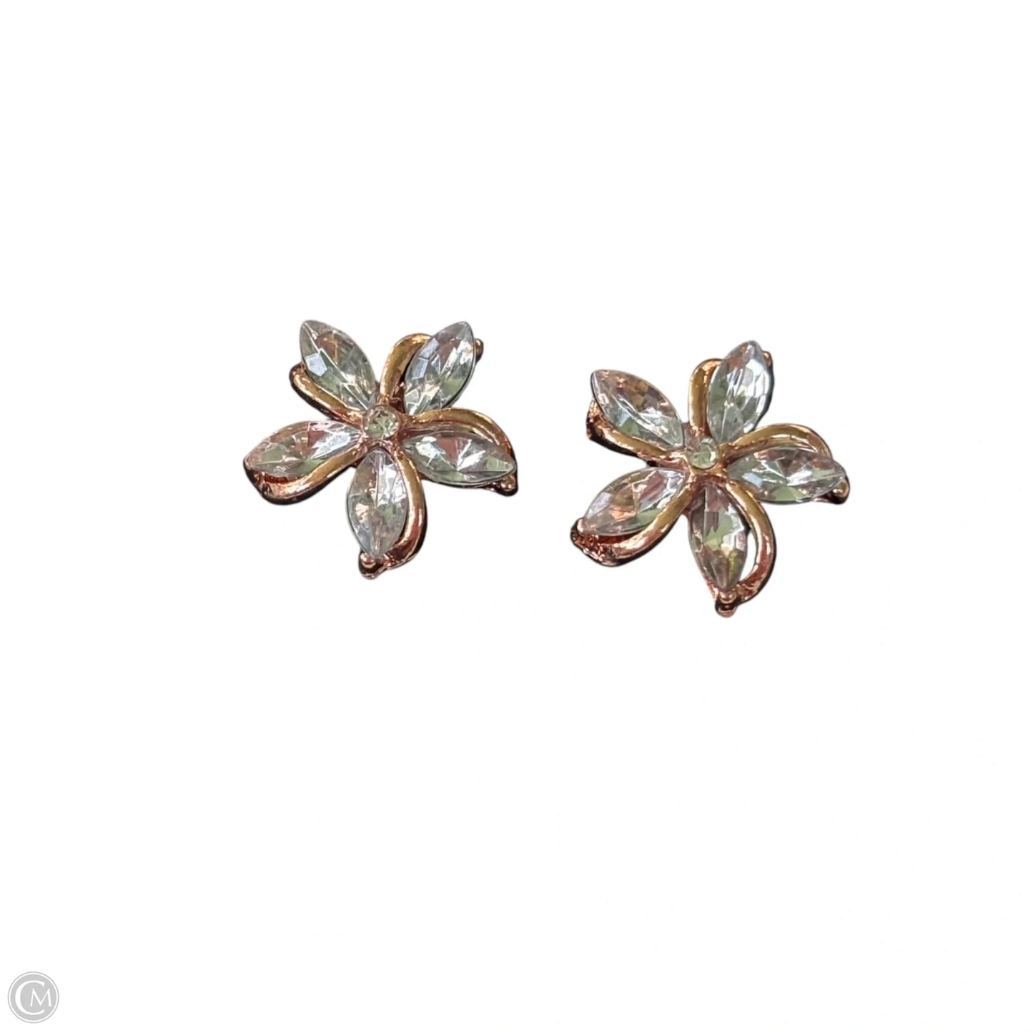 Earrings Stud