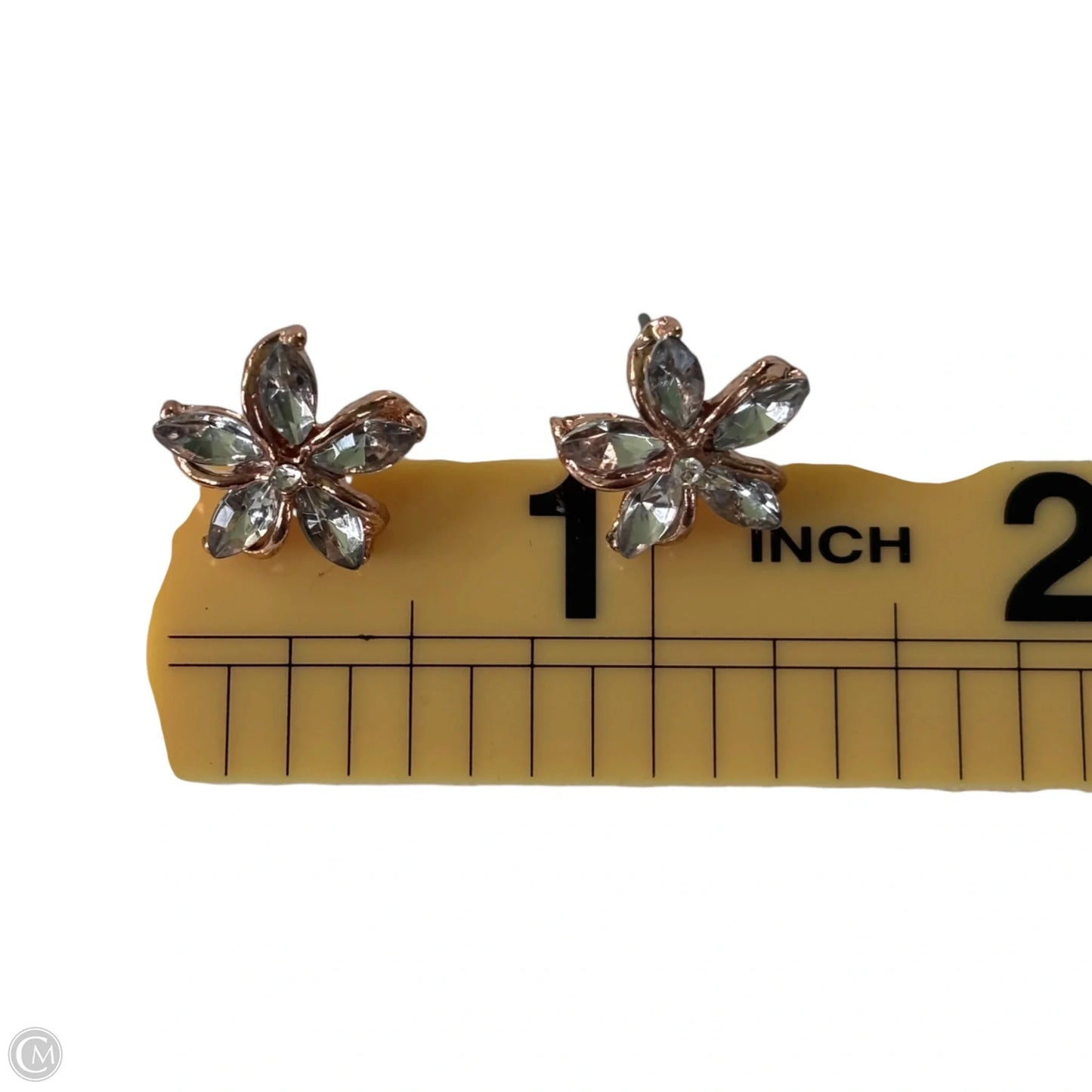 Earrings Stud