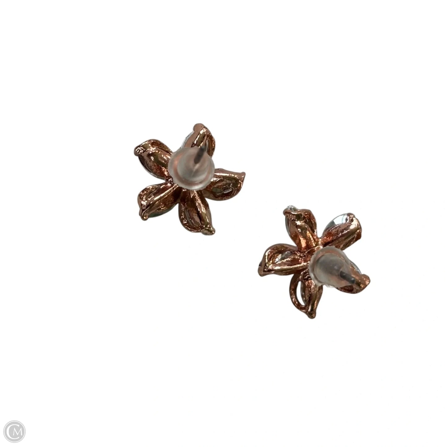 Earrings Stud