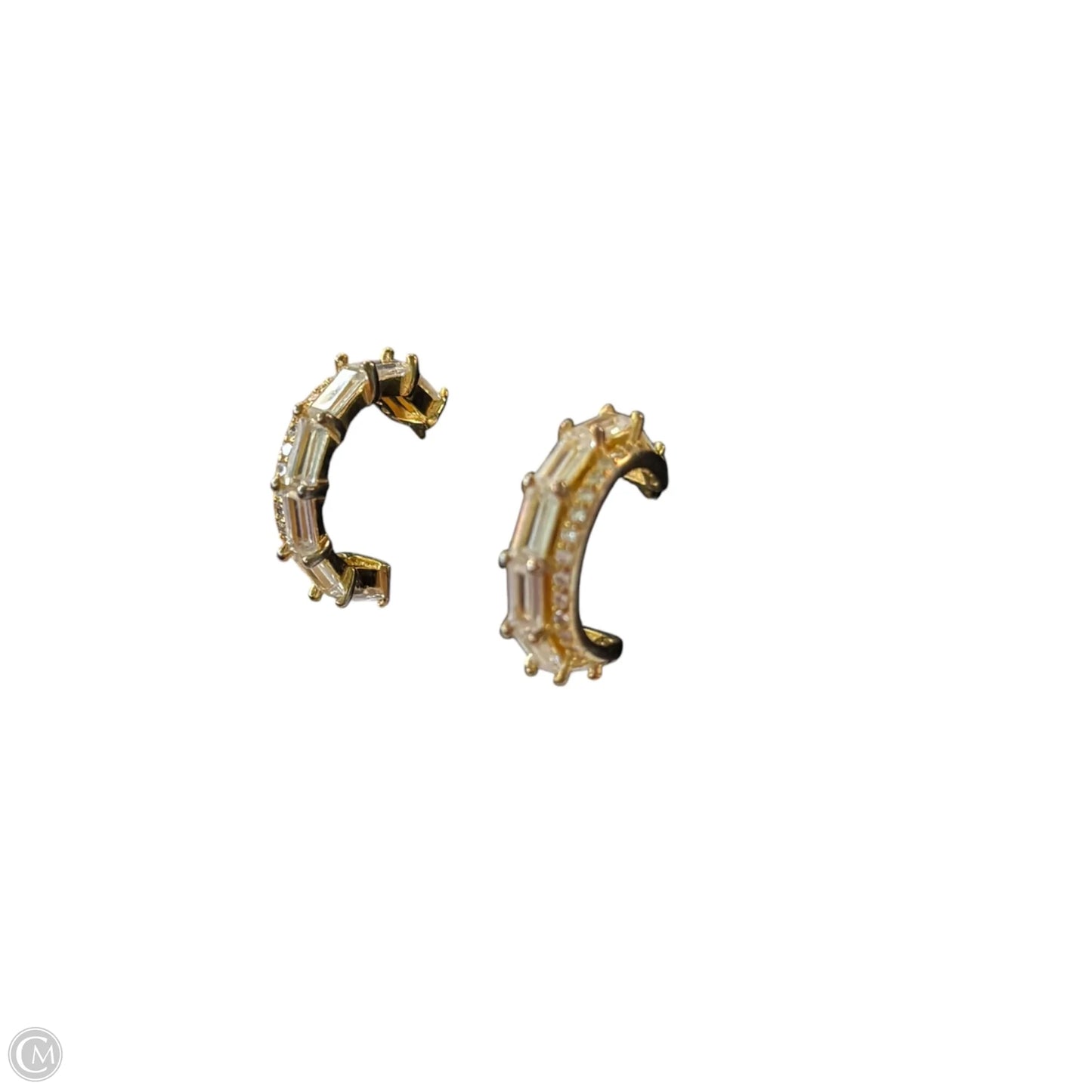Earrings Hoop