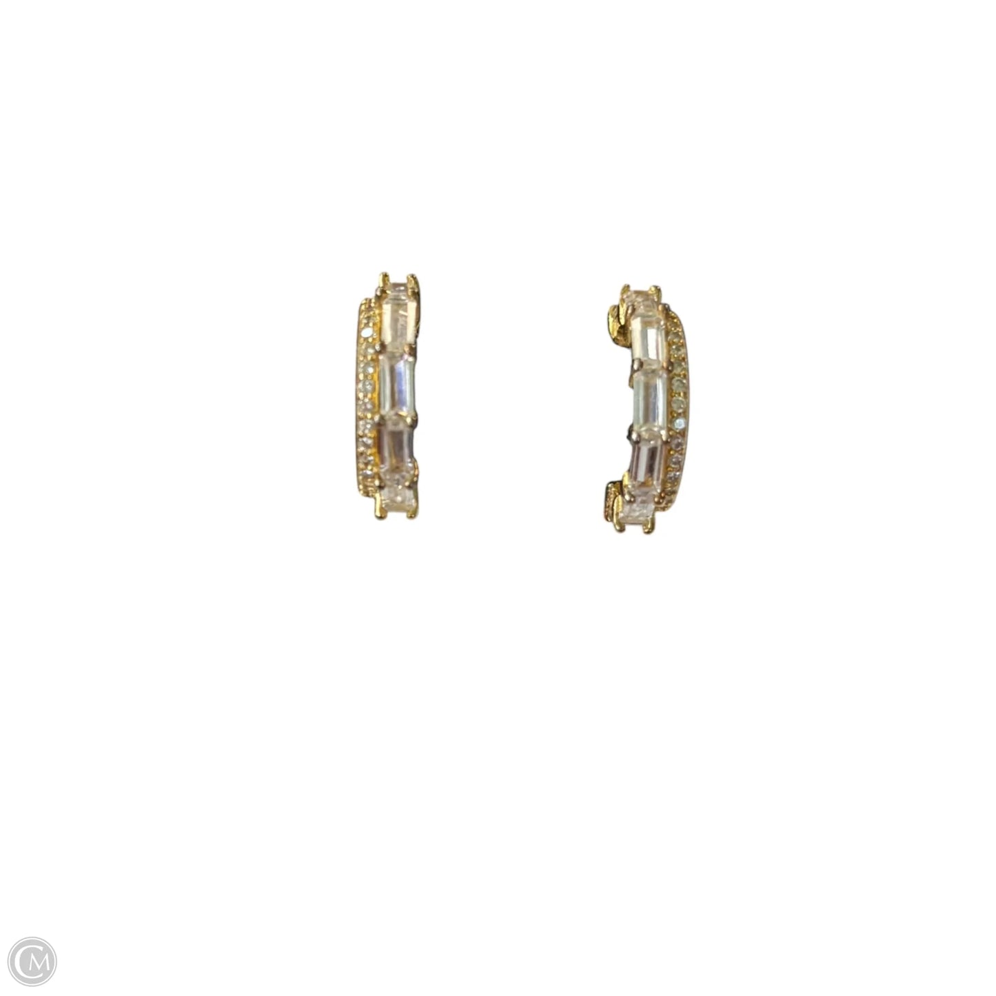 Earrings Hoop