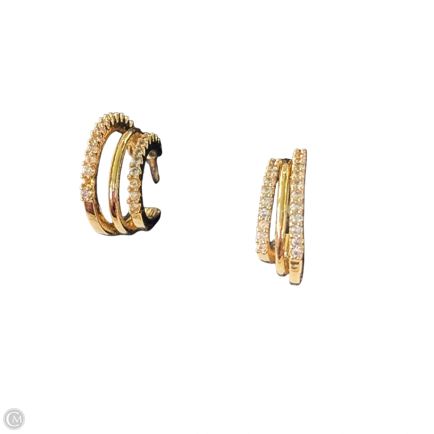 Earrings Hoop