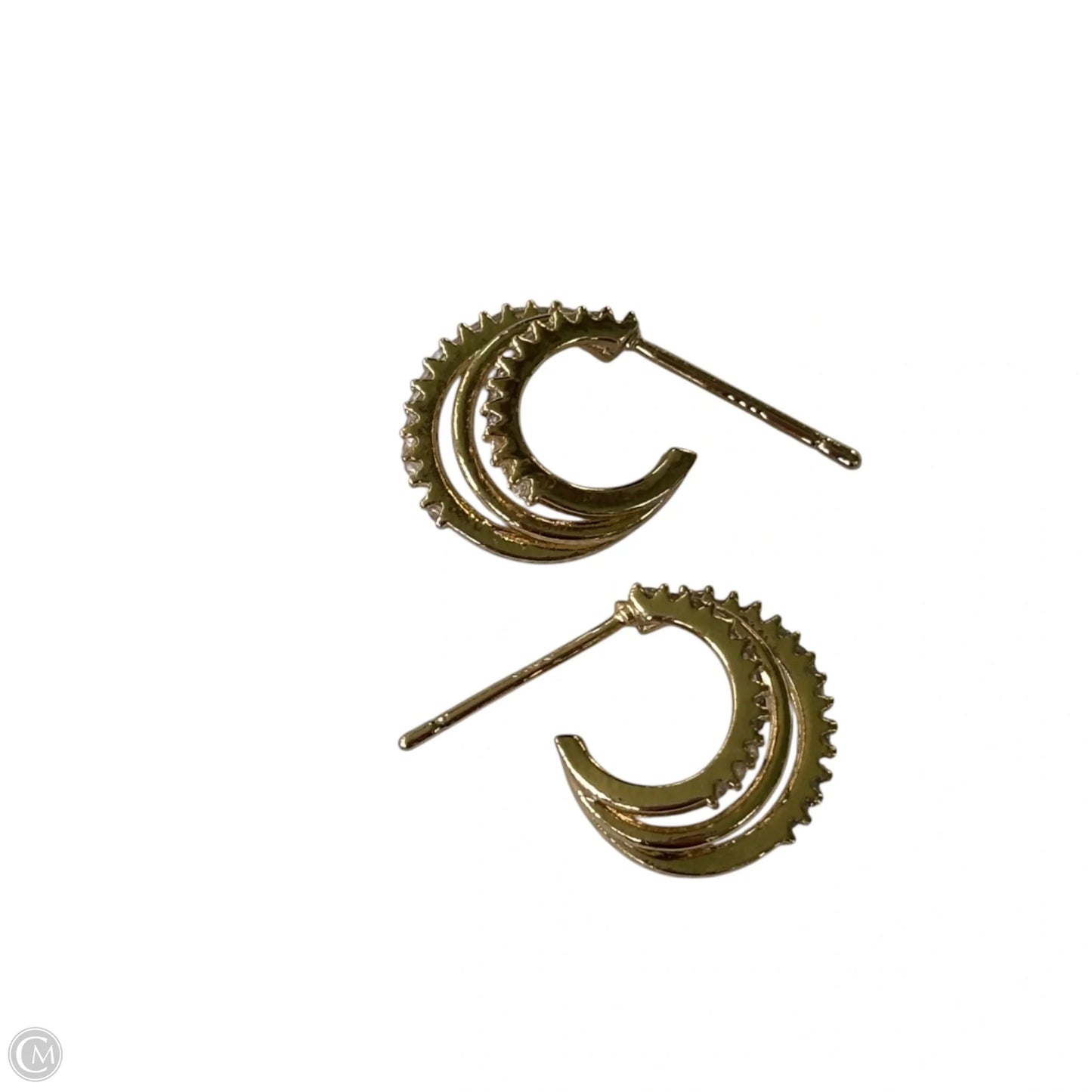 Earrings Hoop