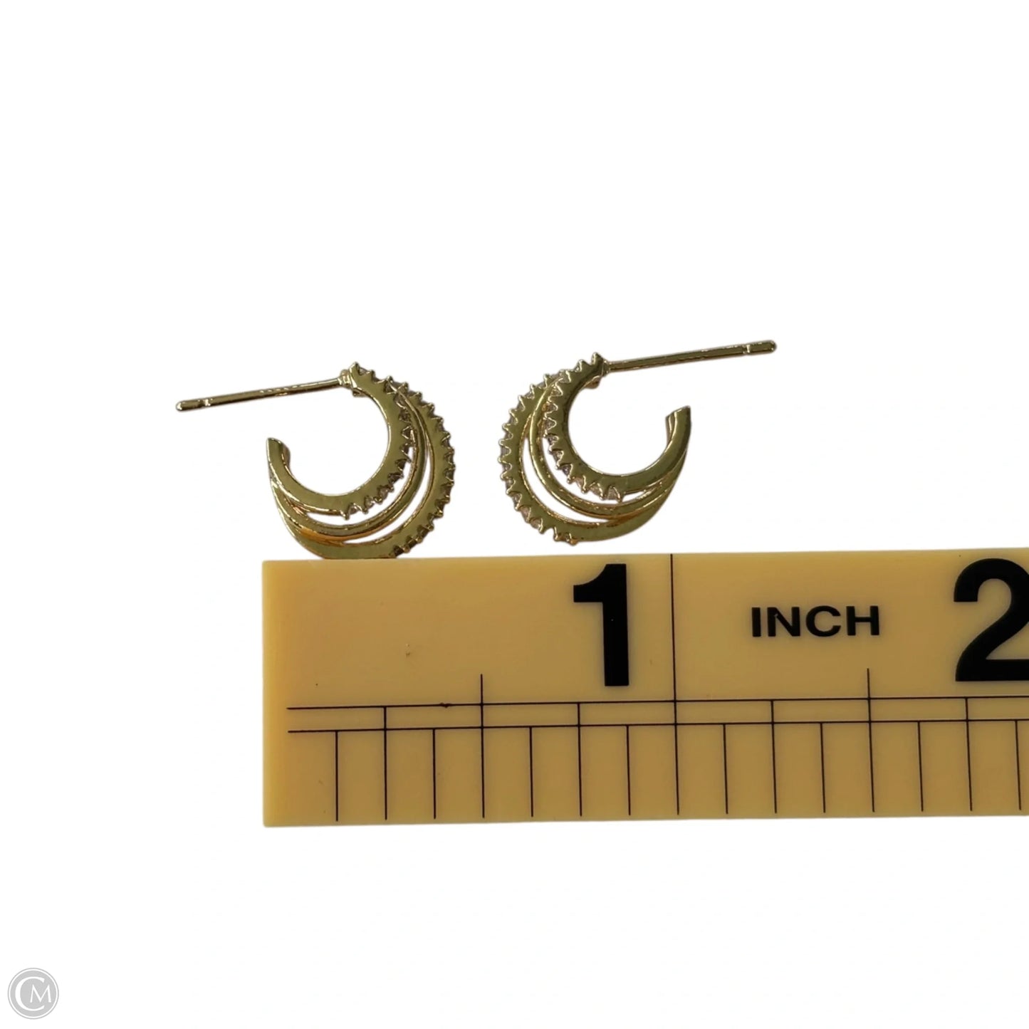 Earrings Hoop