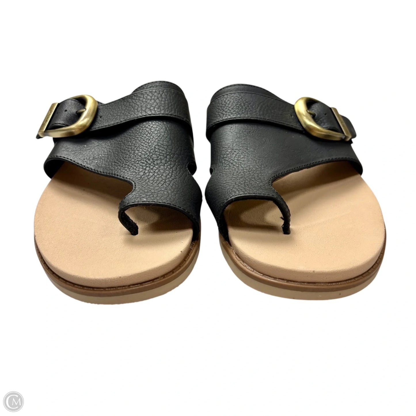 Sandals Flats By Dr Scholls In Black, Size: 8