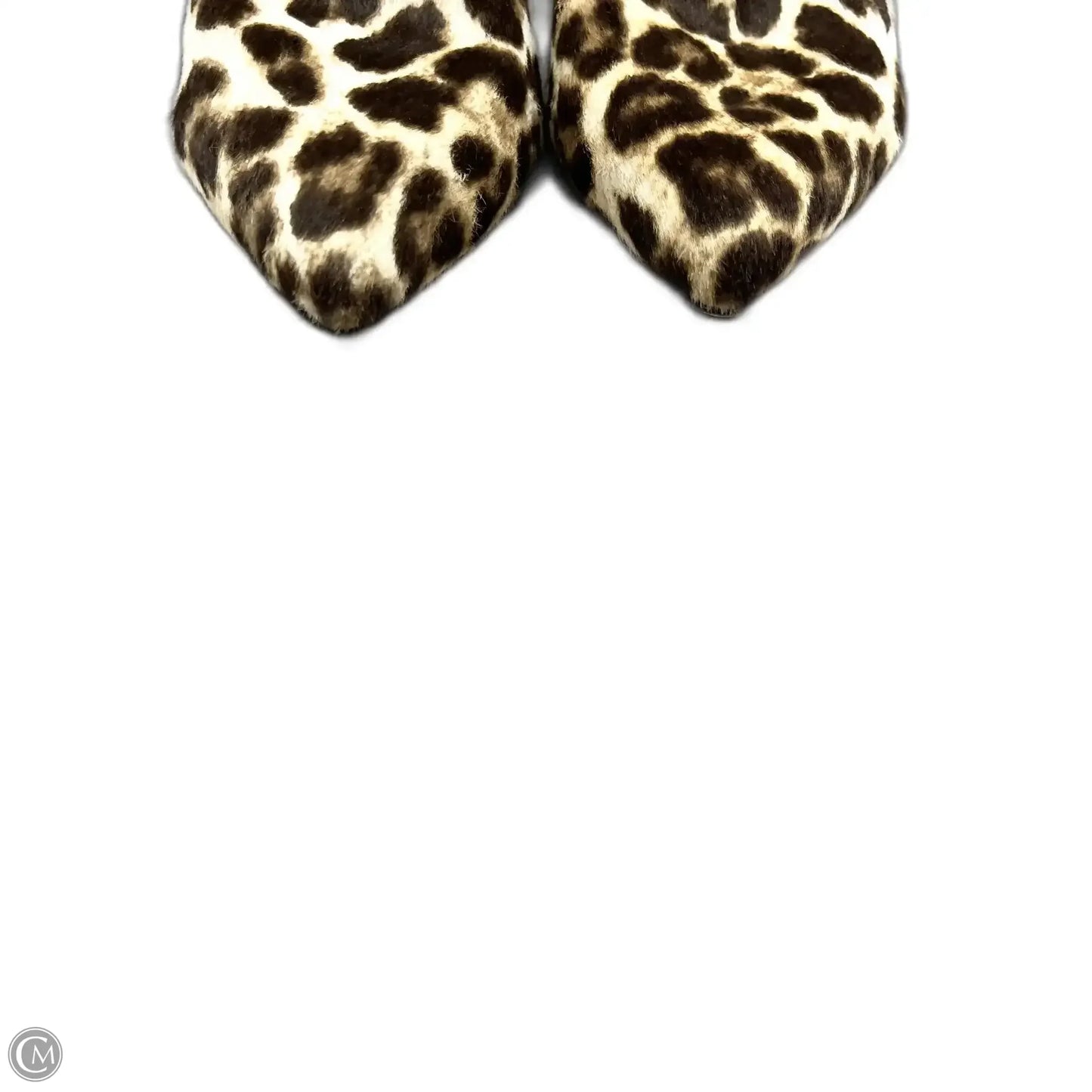 Boots Luxury Designer By Alexander Wang In Leopard Print, Size: 6.5