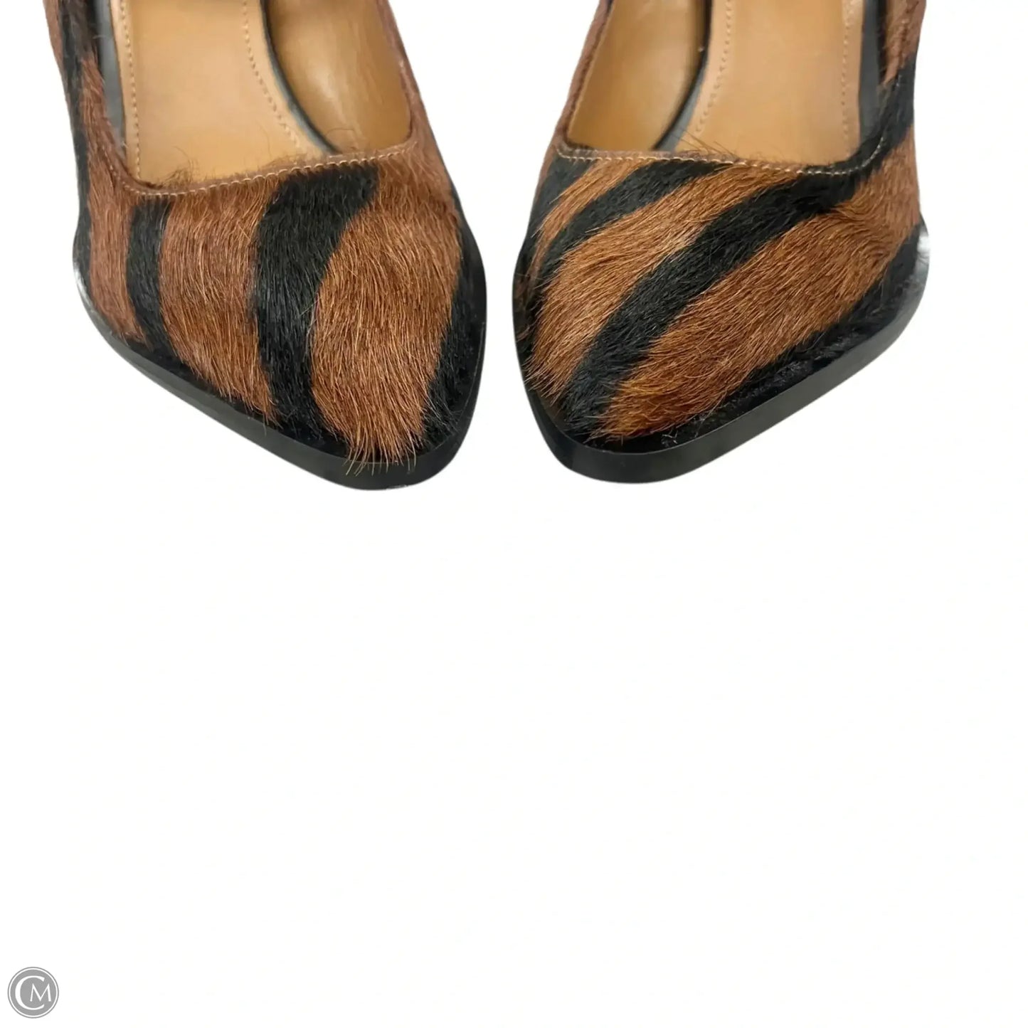 Shoes Heels Block By All Tomorrow's Parties In Zebra Print, Size: 6.5