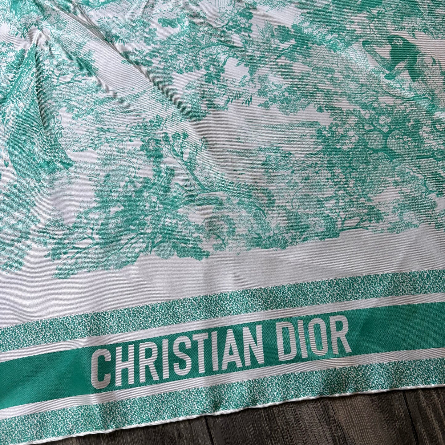 Scarf Luxury Designer By Dior